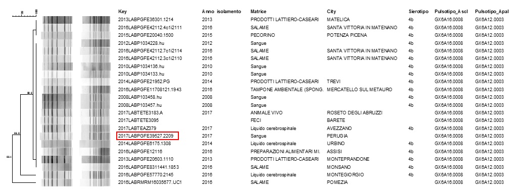 Figura 4. Consultazione del database nazionale LNR: profili PFGE combinati ApaI /AscI GX6A12.003/GX6A16.0008 di ceppi, matrice di isolamento e luogo di prelievo del campione. Il ceppo clinico e' stato evidenziato in rosso
